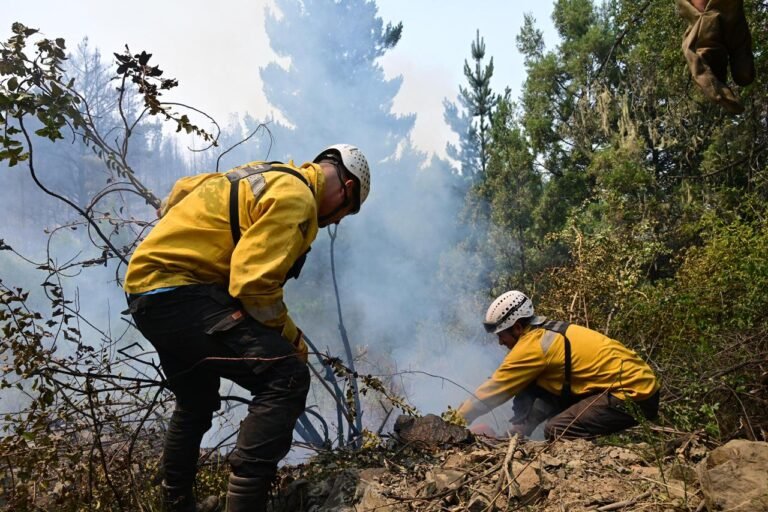 Más de 500 combatientes, maquinaria pesada y aviones hidrantes enfrentan el incendio