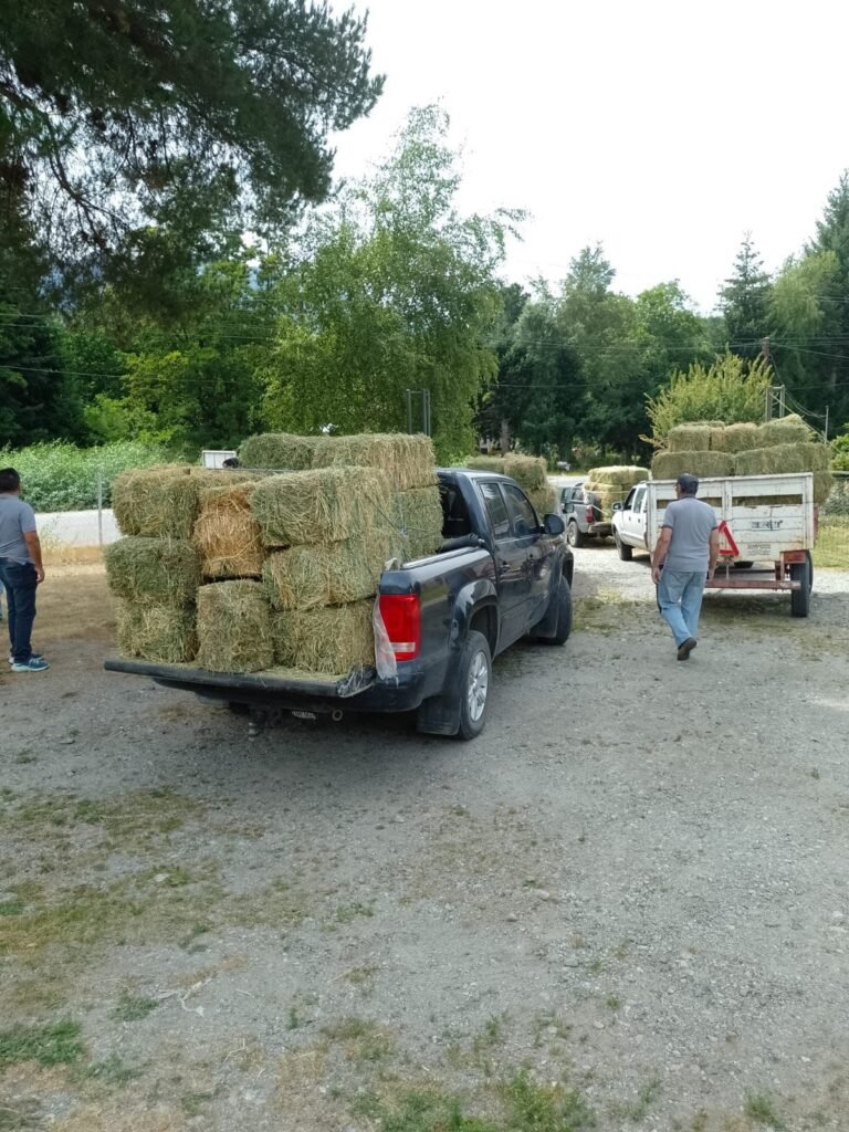 Asisten a productores afectados por los incendios con forraje y apoyo integral