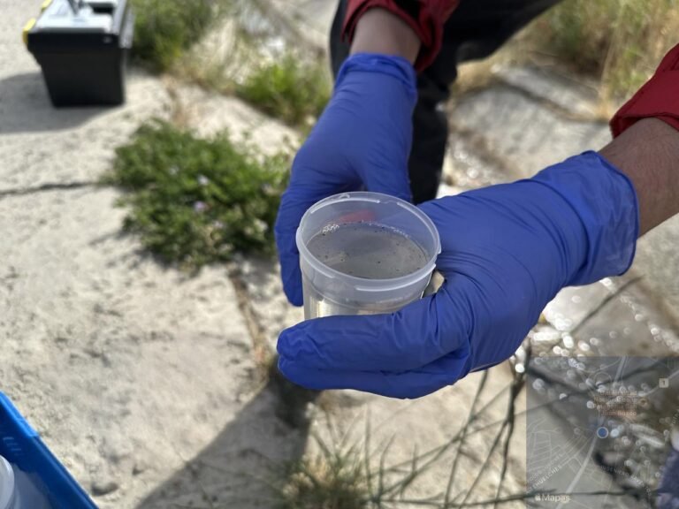 Una denuncia vecinal activó un operativo de control ambiental en el barrio 25 de Mayo