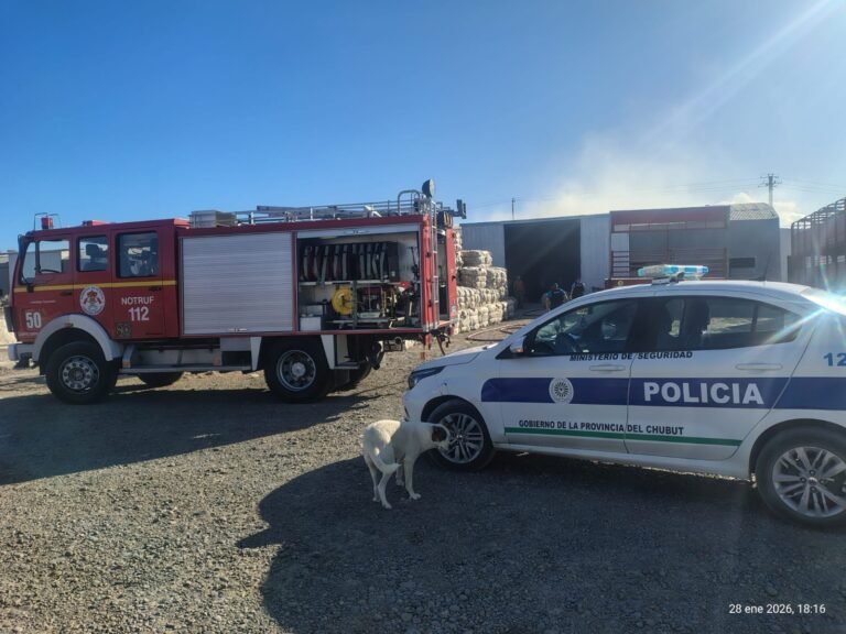 Se incendió un galpón y ardieron fardos de lana en el Stella Maris