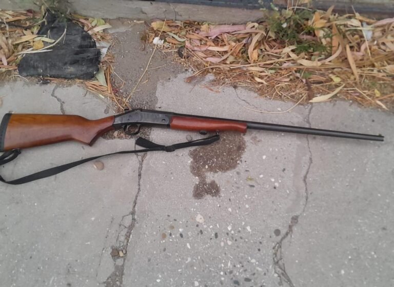 Alarmante episodio en barrio 9 de Julio: efectuó disparos en su vivienda por ver personas y sombras