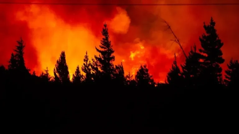 Este viernes reunirán donaciones para ayudar a Epuyén: “Hay gente que quedó con lo puesto”