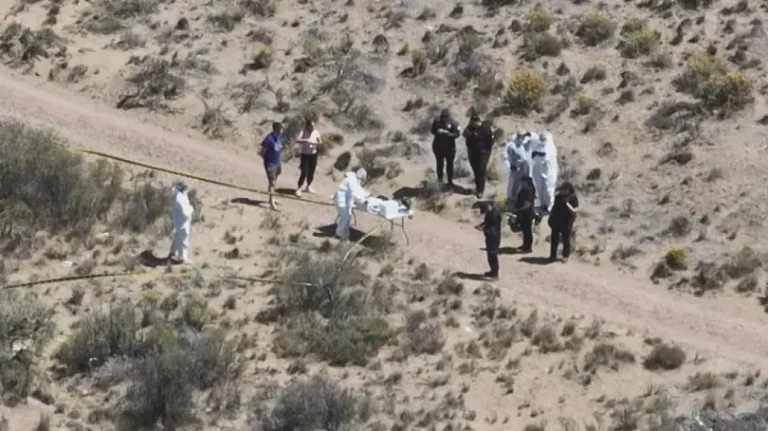 Horror en Caleta Olivia: encontraron pies, manos y la cabeza de una persona en un descampado