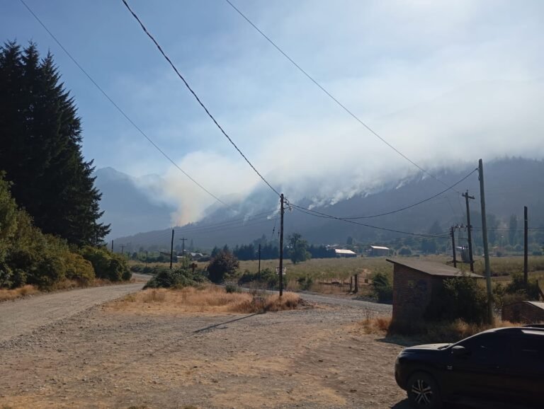 El Hoyo declara la emergencia ígnea, ambiental y social tras el incendio forestal
