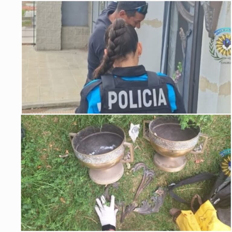 ​Vandalismo en el Cementerio Oeste: Robó piezas de bronce de un panteón y terminó detenido