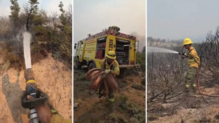 Incendios en la Cordillera: Buenos Aires envió brigadistas y equipamiento pesado