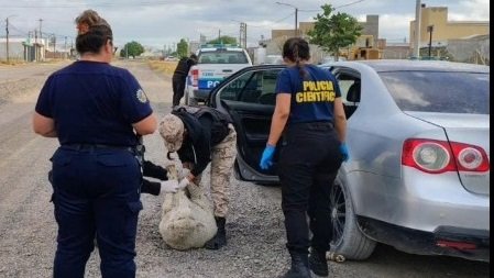 Llevaban tres ovinos maniatados y un galgo en el baúl: dos hombres detenidos en un control