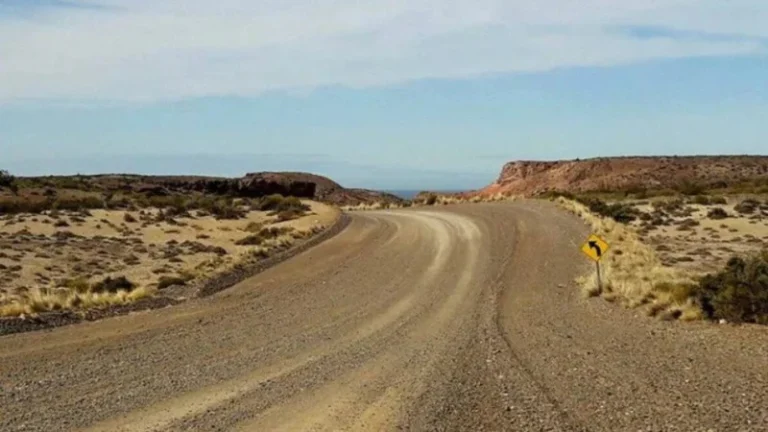 Tragedia en Punta Tombo: una familia de turistas volcó y murió un nene de 6 años
