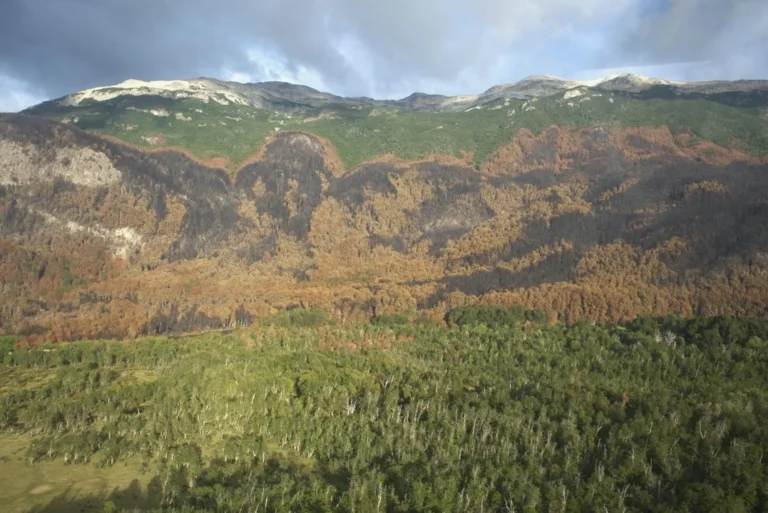 Alivio: logran controlar el incendio en Puerto Patriada y contener el de Los Alerces