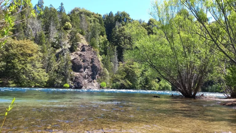 Conmoción en El Manso: hallaron sin vida a una mujer desaparecida