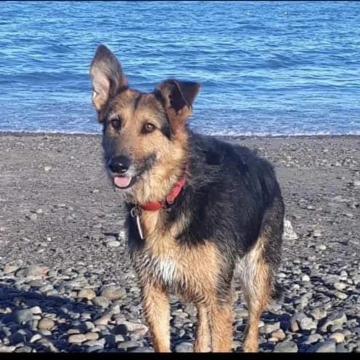 “Prohibido olvidarse de Barbi”: a tres años, la herida sigue abierta