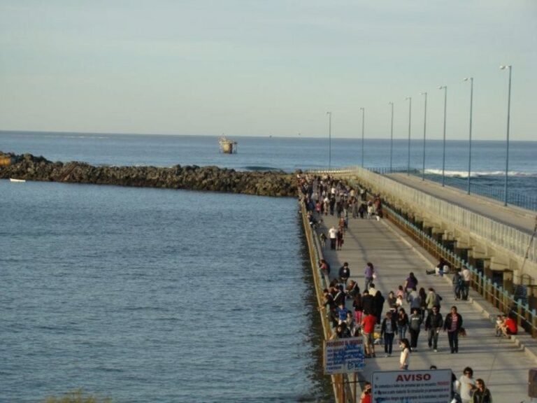 Este sábado, Caleta Córdova será sede de un evento solidario para familias evacuadas