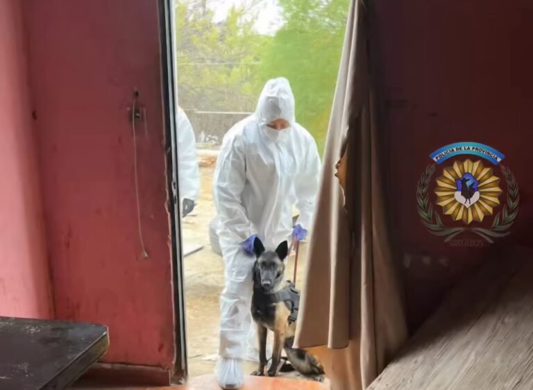 La perra “Hela”, de la División Canes de Comodoro, detectó restos humanos en una bolsa