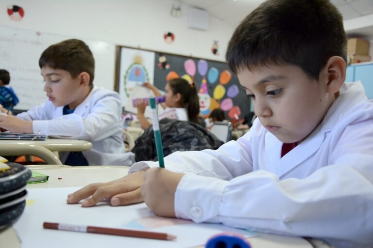 Convocatoria abierta para Referentes Regionales de Alfabetización 2026 en Lengua y Matemática