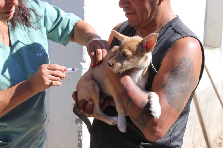 Habrá una nueva jornada gratuita de vacunación antirrábica en el barrio René Favaloro