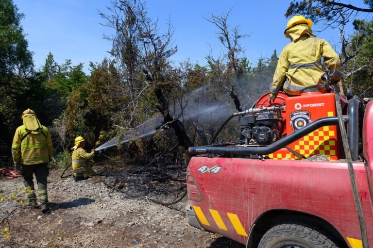 Declaran controlado el incendio en la Desembocadura El Tigre-Lago Cholila y contenido al del Parque Nacional Los Alerces