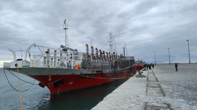 El “Fu Yuan Yu” abrió la temporada con 735 toneladas de calamar