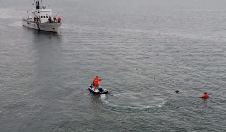 Prefectura busca a una joven buzo, de 23 años, desaparecida en Puerto Madryn