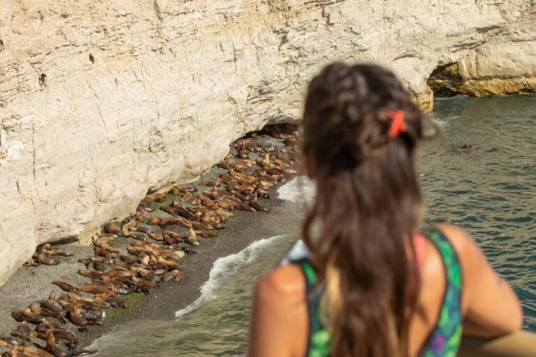 Verano a pleno: las Áreas Naturales Protegidas recibieron más de 80 mil visitantes en enero
