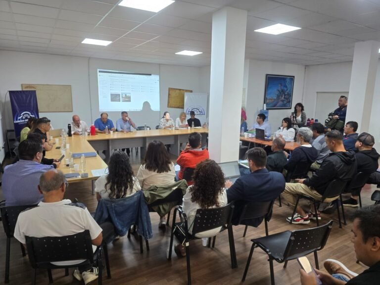 “Pusieron en riesgo nuestras vidas”: el reclamo de los vecinos damnificados por el deslizamiento del cerro Hermitte