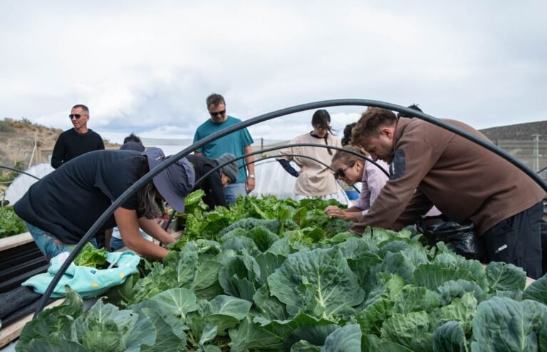 Dictarán un taller de Huerta Orgánica Biointensiva este fin de semana