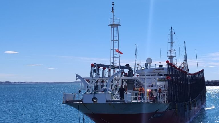 El puerto recibió un barco potero con 850 toneladas de calamar para exportación