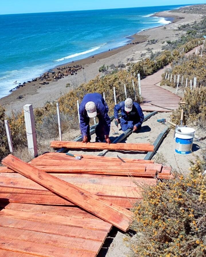 Península Valdés se prepara para la temporada de orcas con nuevas obras