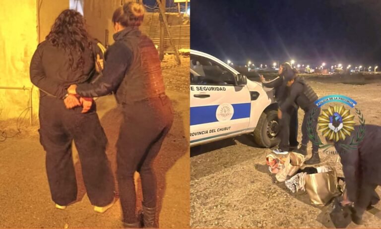 Una detenida y un prófugo al sustraer elementos de un vehículo en Km 8