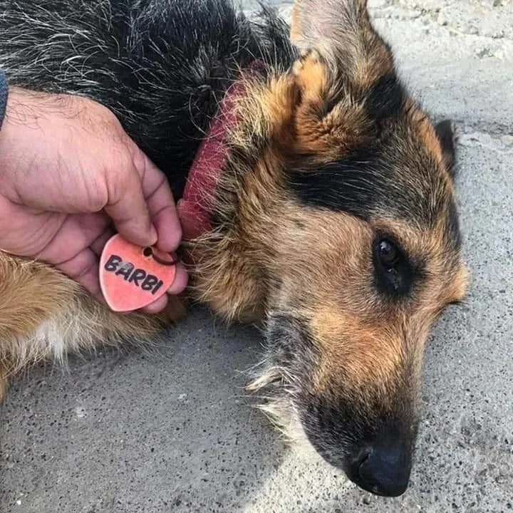Memoria, denuncia y amor: organizan una rifa solidaria para volver a pintar el mural de Barbi