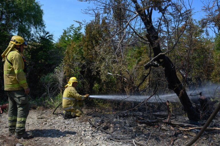 Refuerzan el combate de los incendios y cierran un tramo de la Ruta 71 hasta nuevo aviso