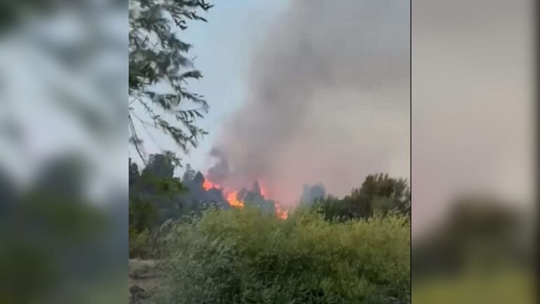Por los fuertes vientos, se reactivó el incendio en el Parque Nacional Los Alerces
