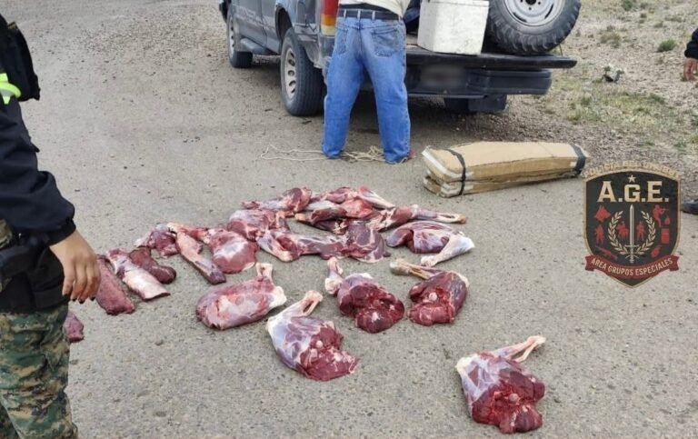 Secuestraron carne de guanaco y un rifle en un control sobre Ruta 3