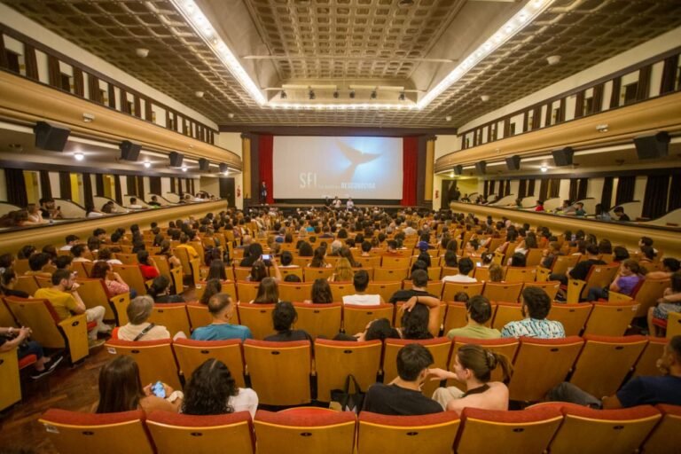 Comodoro lleva a Puerto Madryn el documental “SEI, la ballena desconocida”