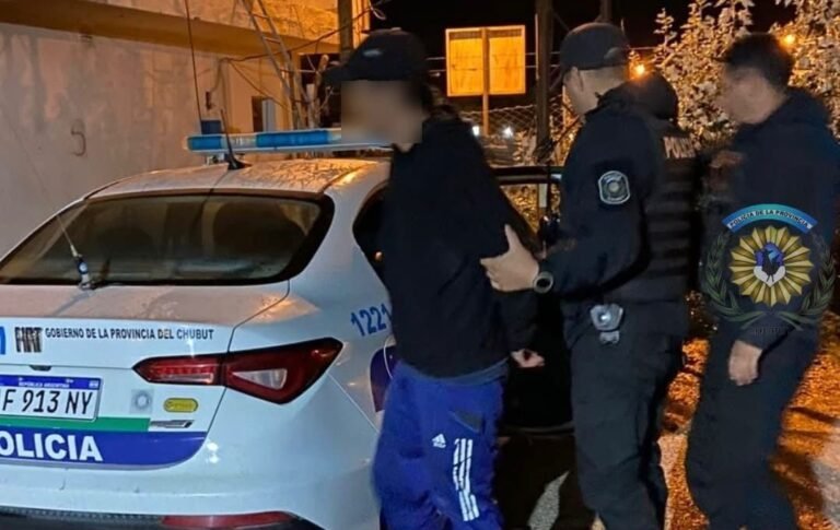 Robaron una bicicleta de un patio y el dueño salió a correrlos: terminaron detenidos