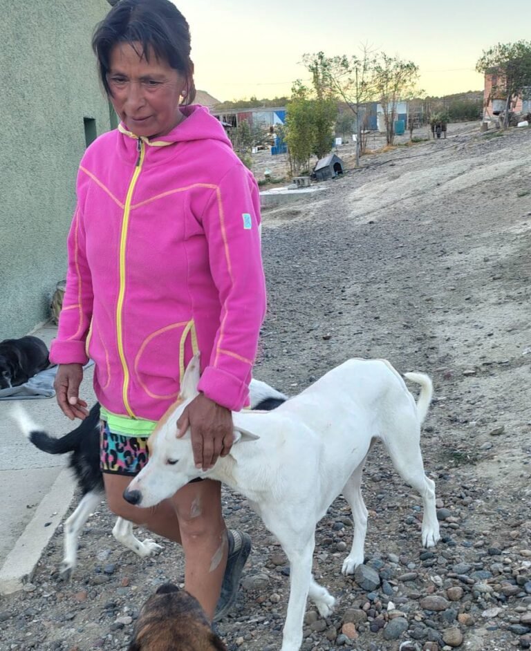 Rosa cuida a más de 50 perros y organizan una rifa solidaria para ayudarla