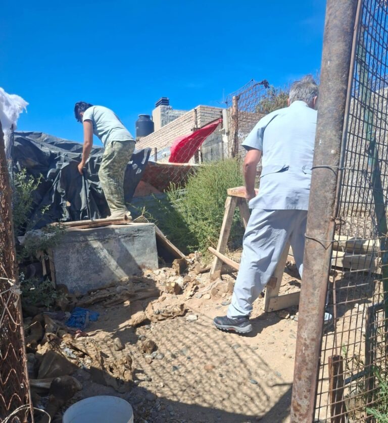 Felix, el vecino de Palazzo, continúa internado y sus animales necesitan alimento