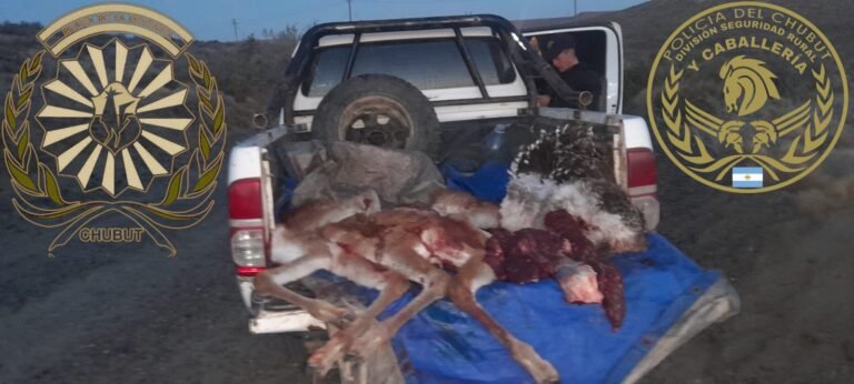 Secuestraron carne de guanaco y un ñandú en un control a 80 km de Comodoro