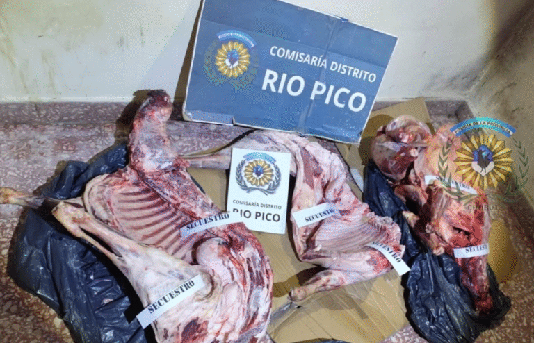 Secuestraron carne sin control sanitario en un control y ordenaron su incineración