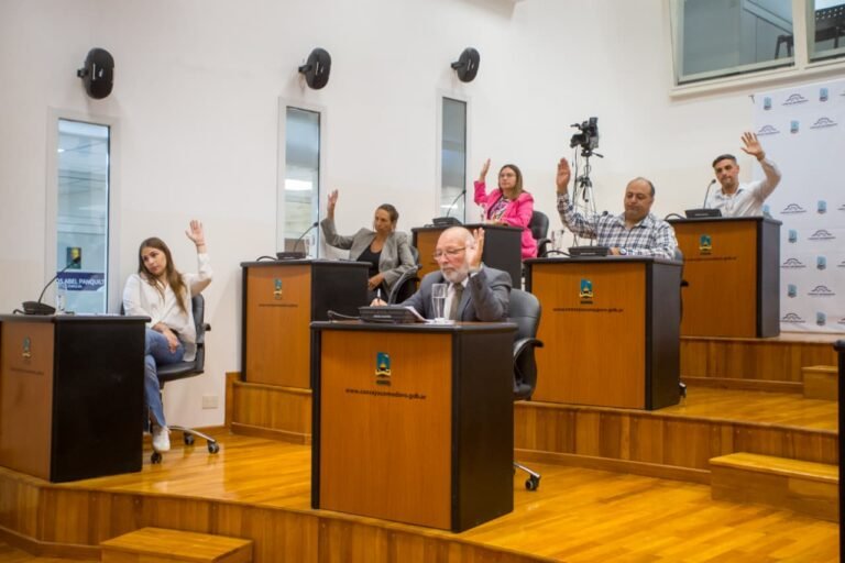 En extraordinaria, el Concejo ratificó los contratos para el diagnóstico del Hermitte