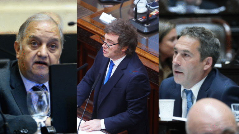 Linares y Luque cruzaron a Milei tras su discurso y cuestionaron sus dichos sobre la minería en la Cordillera