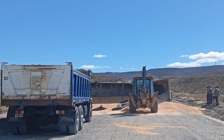 Vuelco de acoplado en la zona sur: un desperfecto mecánico causó el accidente