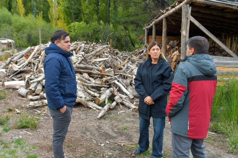 Con una inversión de más de $600 millones, Chubut puso en marcha el Plan Calor 2026