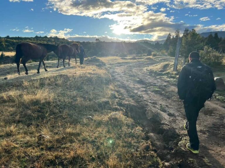 Hallaron una persona muerta en un campo cerca de Corcovado y buscan determinar las causas