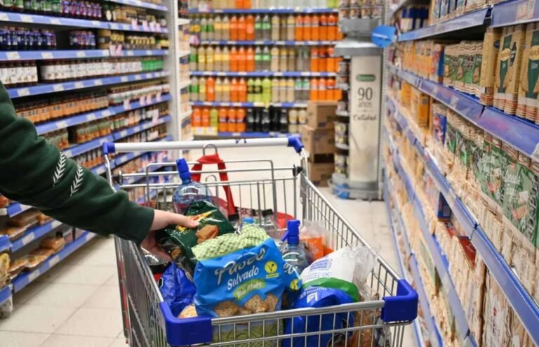 El changuito en Chubut supera los $925 mil y está entre los más caros del país