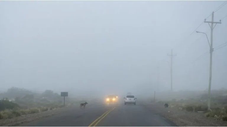 Niebla intensa: mantienen cortado de forma preventiva el camino Roque González