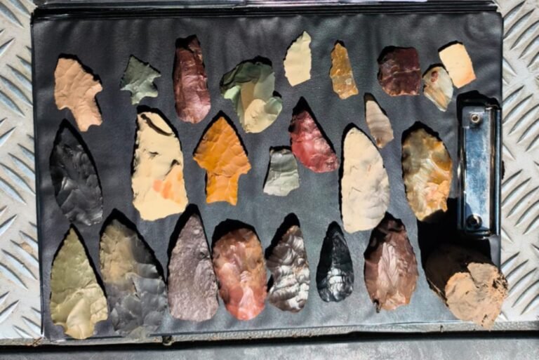 Interceptaron a un pasajero de colectivo que llevaba 24 puntas de flecha y una madera fosilizada