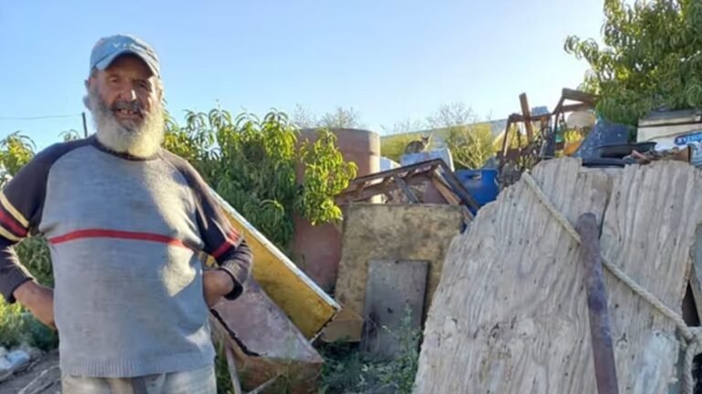 Tras la muerte de Félix Assi, más de 30 gatos quedaron en situación crítica y vecinos piden ayuda