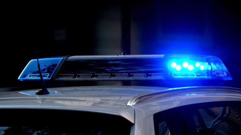 Una discusión entre zíngaros terminó con un perro muerto de un disparo