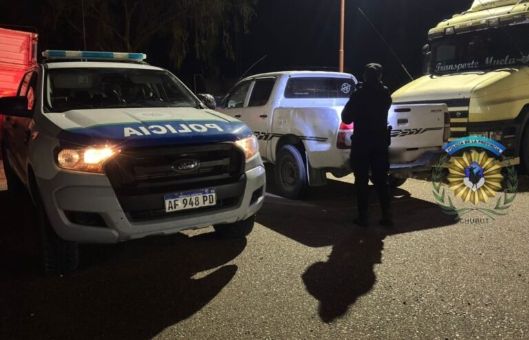 Operativo en Ruta 3: secuestran una camioneta con 10 guanacos faenados