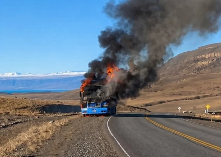Impactante incendio sobre Ruta 40: un camión fue consumido por las llamas